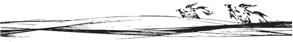 Asterion Letrario