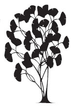 asterion
