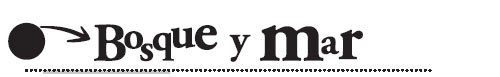 editorial