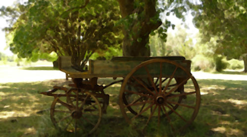 Campo en silencio