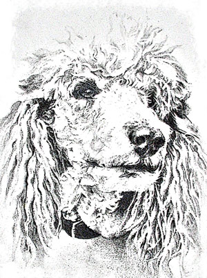 El fantasma del perro que tuvimos