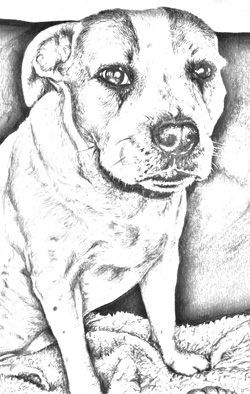 Toti