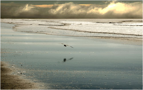 Vuelo de otoño, Jorge Alejandro González